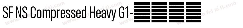SF NS Compressed Heavy G1字体转换